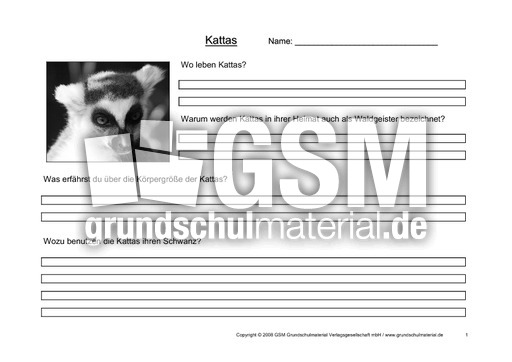 Arbeitsblatt-Kattas-1.pdf
